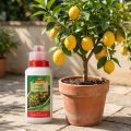 Combiflor Zitrusdünger 250ml | Floristik24.de