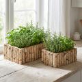 Pflanzkasten Holz Kräuterkasten Birke L23/28cm 2er-Set | Floristik24.de