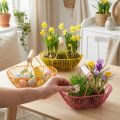 Drahtkorb mit Holzgriff Handliches Design Ideal für Frühlingsdeko Heim und Büro 17cm 6St | Floristik24.de