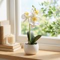Künstliche Orchideen im Topf Weiß Mini Orchideen Ø7cm H22cm | Floristik24.de