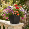 Topf „Nora“ 23cm x 23cm H18,5cm Anthrazit 1 St | Floristik24.de