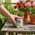 Frosch Figur Sommerdeko aus Keramik für Wohnung und Balkon 12cm | Floristik24.de