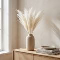 Trockenblumen Silbergras Elegante natürliche Dekoration für Zuhause und Büro 70cm 10St | Floristik24.de