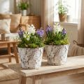 Deko-Topf Birke geweißt Pflanztopf Ø18cm H15cm 2St | Floristik24.de