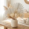 Palmspear Sun mini weißgewaschen 50 St | Floristik24.de