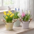 Pflanzeimer, Metalltopf mit Henkeln, Dekogefäß zum Bepflanzen Rosa/Grün/Gelb Shabby Chic Ø12cm H10cm 3er-Set | Floristik24.de