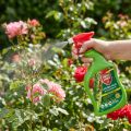 Protect Garden Lizetan Plus Blattlausfrei AF Insektizid 1L | Floristik24.de