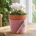 Filzband, Topfband zweifarbig Altrosa/Grau 15cm 5m | Floristik24.de