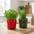 Paprika Keramik Übertopf für