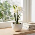 Mini Orchideen künstlich Weiße Orchideen im Topf 15cm | Floristik24.de