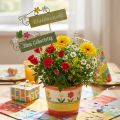 Floraler Dekostecker für verschiedene Anlässe, Holzschild mit Aufschrift, Blumenstecker 6St | Floristik24.de
