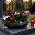 Steckschaum Ring Schwarz Ø44cm H6cm 2 St | Floristik24.de
