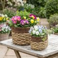 Weidenkorb, natürliches Korbgeflecht, Pflanzschale Natur L30/22cm H20/17cm 2er-Set | Floristik24.de