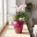 Orchideentopf glänzend Ø12,5cm Kirsche 1 St | Floristik24.de