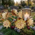 Plumosum mit kurzem Stiel 3-6 1kg | Floristik24.de