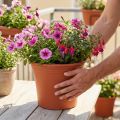 Topf „Irys“ Plastik Terrakotta Ø29cm H24cm 1 St | Floristik24.de