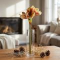 Künstliche Amaryllis Blume in Rosa und Gelb – 66 cm – Ideale Geschenkidee und stilvolle Dekoration für Innenräume | Floristik24.de