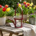 Windlicht Glas Deko Gießkanne Metall Rot Ø14cm H13cm | Floristik24.de