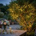 LED Reislichterkette 360er 27m warmweiß für Außen/Innen | Floristik24.de