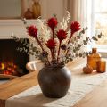 Plumosum 1 Rot 25 St | Floristik24.de
