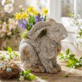Beton Deko Hase Blumentopf Ostern Antik Grau H27cm | Floristik24.de