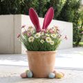 Hasen Deko Ohren Pink für Ostern Beflockt Stab H56cm | Floristik24.de
