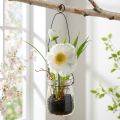 Mohnblume im Glas zum Hängen Weiß H22cm | Floristik24.de