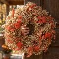 Deko Kranz Trockenblumen Blumenkranz Orange Creme Ø25cm | Floristik24.de