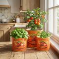 Tomaten Pflanztopf Set Keramik Dekorative Blumentöpfe für Küche und Retro Deko 14cm 3er-Set | Floristik24.de