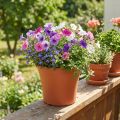Topf „Irys“ Plastik Terrakotta Ø17cm H14cm 1 St | Floristik24.de