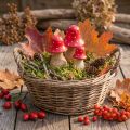 Fliegenpilz Deko Pilze Holzpilze Herbstdeko H6/8/10cm 3er-Set | Floristik24.de