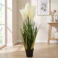Riedgras im Topf Künstliche Topfpflanze Creme, Grün 79cm | Floristik24.de