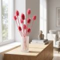 Wilde Karde Trockendeko Rosa Disteln 53cm 10 Köpfe | Floristik24.de