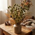 Erdbeerdistel Trockendeko Olivgrün Ø1–2cm L55cm 100g | Floristik24.de
