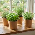 Pflanzgefäß, Blumentopf, Papierübertopf Natur Ø15cm H13cm 4St | Floristik24.de