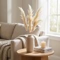 Deko Pampasgras Creme Trockengräser gebleicht 95cm 3 St | Floristik24.de