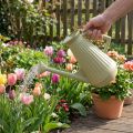 Gießkanne 9L in Olivgrün mit abnehmbarer Brause, praktisch für Garten und Blumenpflege, robust, 42cm | Floristik24.de