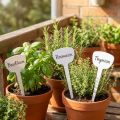 Pflanzensteckschild 10cm 100St | Floristik24.de