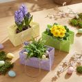 Geschenktüten gewebt mit Henkeln Grün, Gelb, Lila 20×10×10cm 6St | Floristik24.de