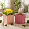 Blumenübertopf Blumentüte Pink Lachs 12cmx12cm 6 St | Floristik24.de