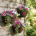 Hängekorb Pflanzen Metall Rostoptik H30/33,5/40cm 3er-Set | Floristik24.de