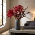 Palmspear Sun Rot 30 St | Floristik24.de