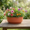 Z-Schale Plastik Ø20cm 10 St | Floristik24.de