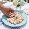 Muschel Umachi 500g | Floristik24.de