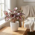 Künstlicher Begonienbusch Grün, Violett 34cm | Floristik24.de