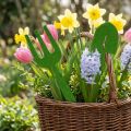 Filz Gartenwerkzeug Grün 4 St | Floristik24.de