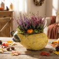 Deko Birne Übertopf Herbst Pflanztopf Beton 25×13×11cm | Floristik24.de