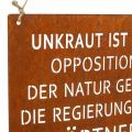 Floristik24 Gartenschild mit Spruch „Unkraut“ Rost Deko Garten 35×30cm