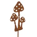 Floristik24 Gartenstecker Edelrost Fliegenpilz Deko Stecker 10cm 6 St