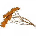 Floristik24 Gartenstecker Rost Gingkoblatt Beetstecker 7x5cm 6St